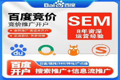 SEM公司案例研究：数据驱动营销策略