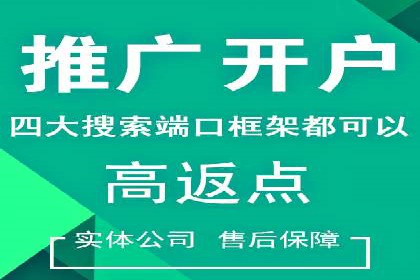 SEM代理实战：成功案例分享与经验总结
